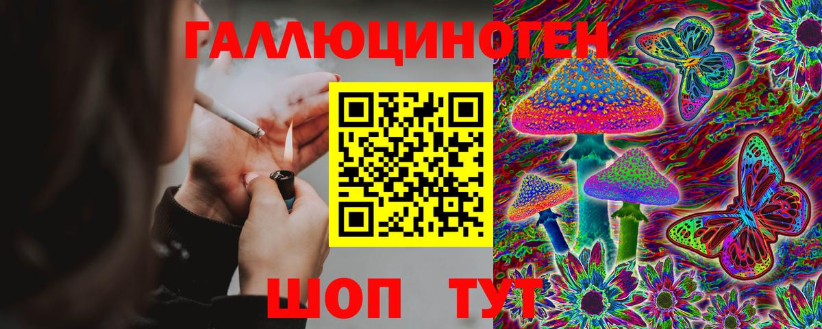 Зеленогорск  Галлюциногенные грибы MAGIC MUSHROOMS  Галлюциногенные грибы MAGIC MUSHROOMS  Вход с VPN 